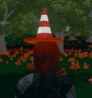 Hide and Seek - Traffic Cone