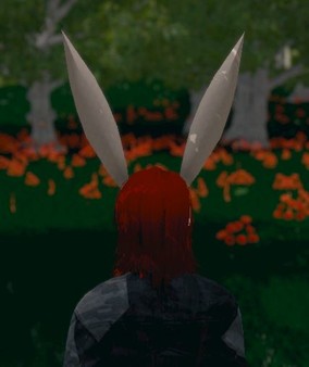 Hide and Seek - Rabbit Ears