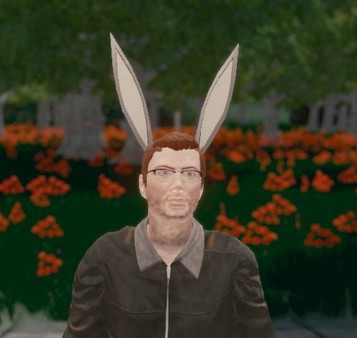 Hide and Seek - Rabbit Ears