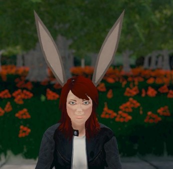 Hide and Seek - Rabbit Ears