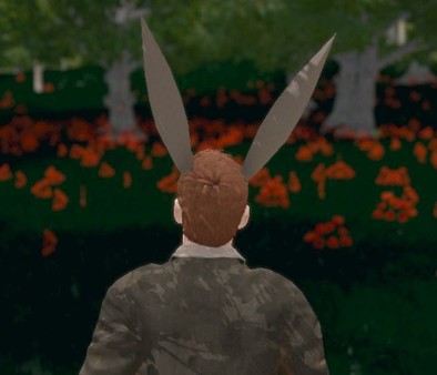 Hide and Seek - Rabbit Ears