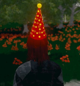 Hide and Seek - Party Hat