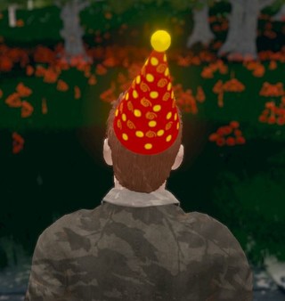 Hide and Seek - Party Hat
