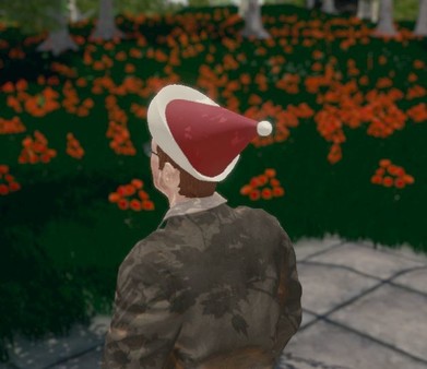 Hide and Seek - Santa Hat
