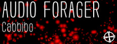Audio Forager