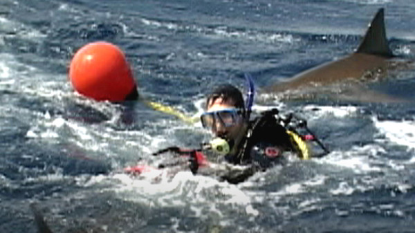 Open Water screenshot 2