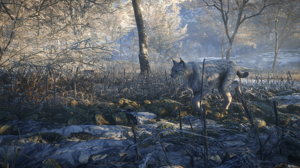 KHAiHOM.com - theHunter: Call of the Wild™ - Medved-Taiga