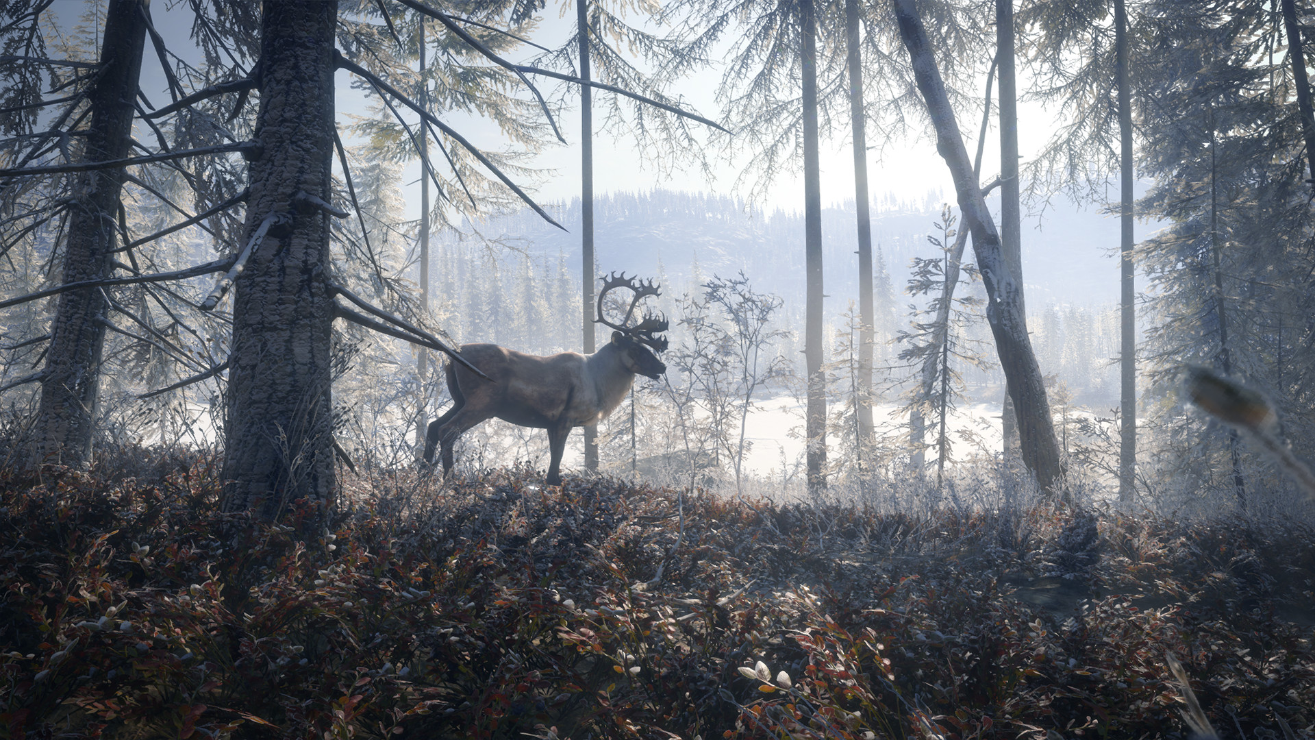 theHunter: Call of the Wild™ - Medved-Taiga Featured Screenshot #1