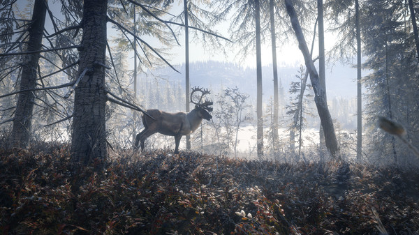 Full Size Image