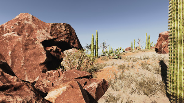 Screenshot z Lost Shipwreck