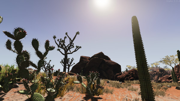 Screenshot z Lost Shipwreck