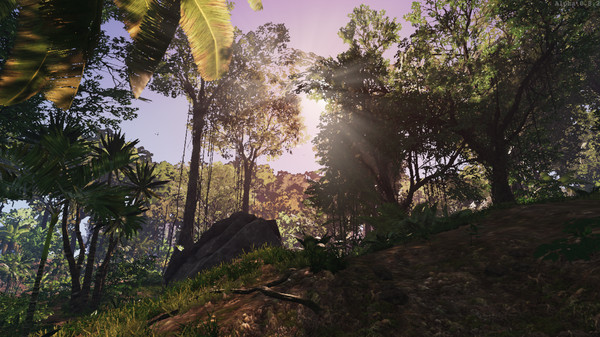 Screenshot z Lost Shipwreck