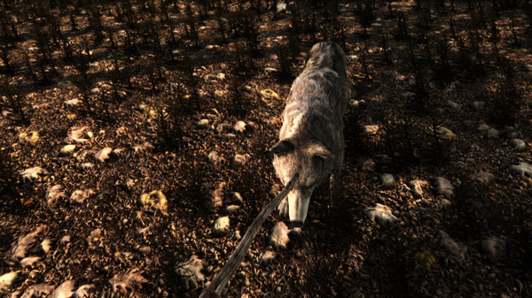 Screenshot z Lost Shipwreck