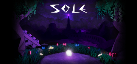 Image for SOLE