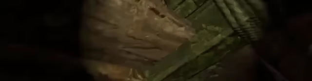 Temple Raid VR video 2
