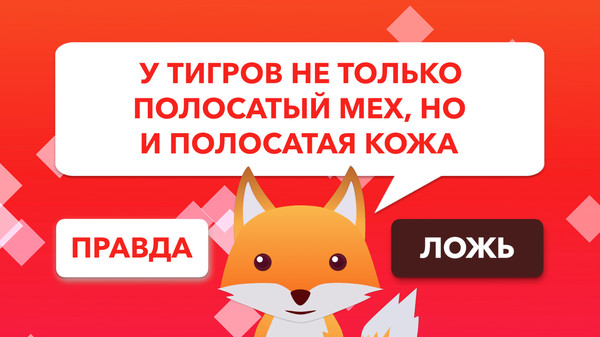 Screenshot z True or False Universe