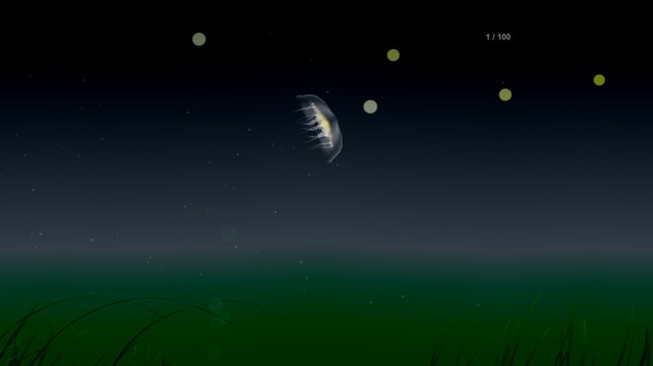 Jellyfish