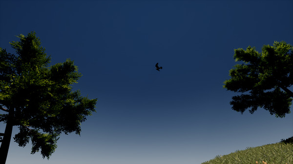 Screenshot z Immersive Poetry