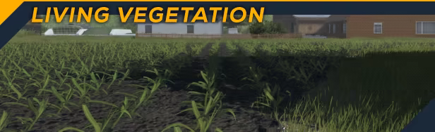 Professional Farmer: Cattle and Crops video 6