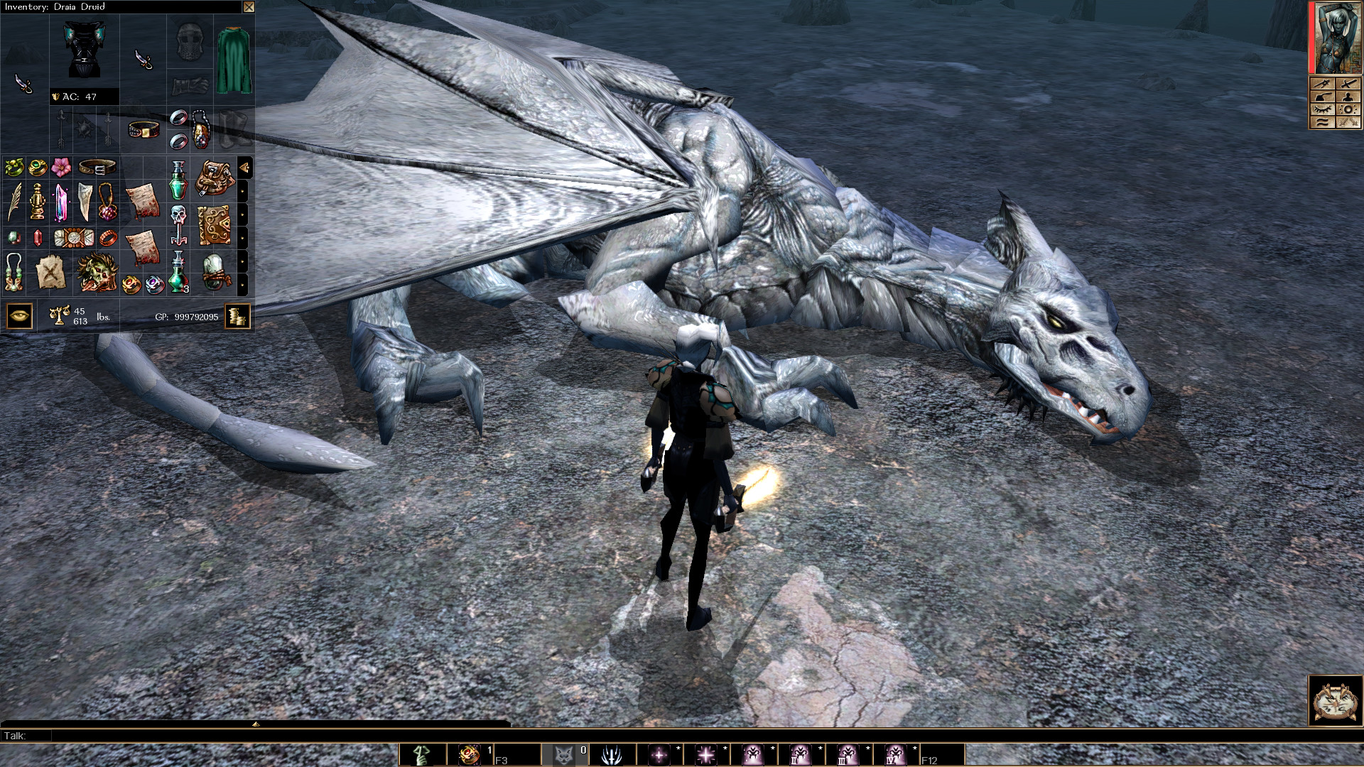 Neverwinter Nights: Enhanced Edition 截图