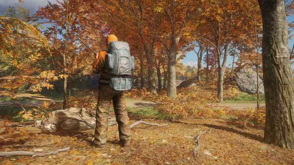 theHunter: Call of the Wild™ - Backpacks