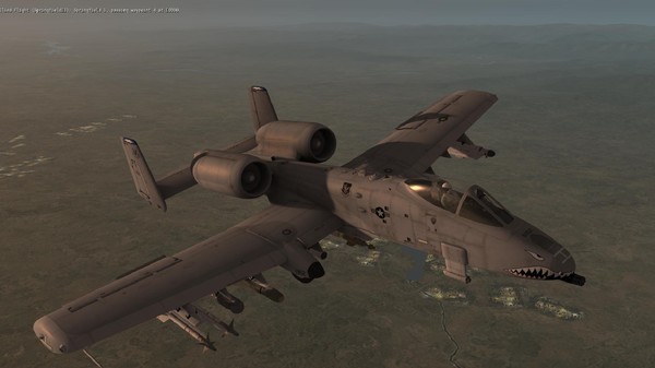 A-10C: Tactical Training Qualification Campaign