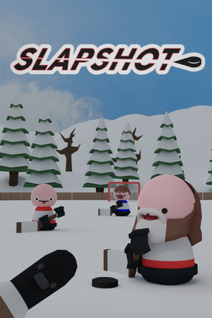 Cover art of Slapshot