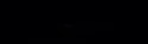 Starship EVO video 3