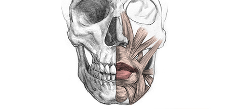 Portrait Drawing Fundamentals Course: How to Draw Lips – Anatomy and Structure cover art