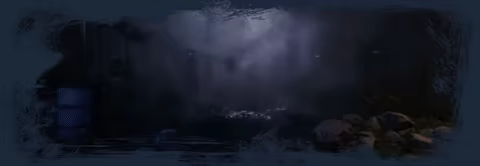 Those Who Remain video 2