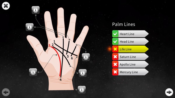 Palm Reading Premium — скриншот 1