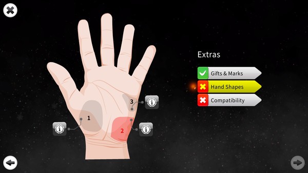 Palm Reading Premium — скриншот 8
