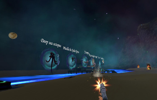 Beach Cry of VR