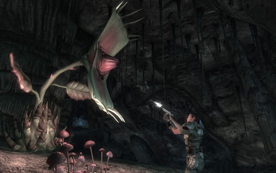Fallout New Vegas: Honest Hearts