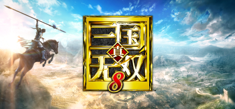 DYNASTY WARRIORS 9 游戏封面