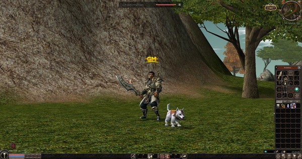 Metin2-Power Booster Pack