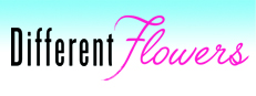Different Flowers game capsule image