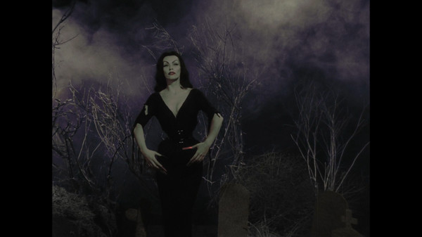 RiffTrax: Plan 9 from Outer Space (Three Riffer Edition) screenshot 3