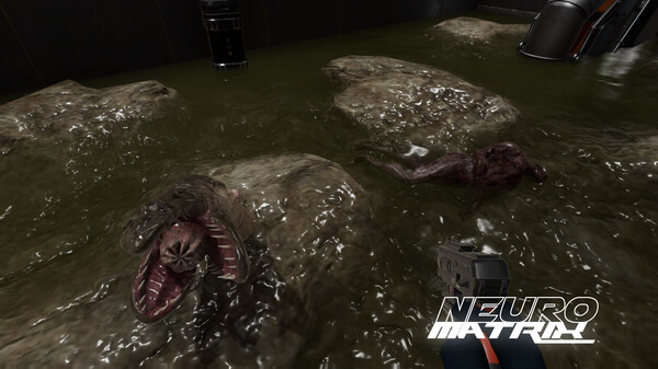 Screenshot z NeuroMatrix