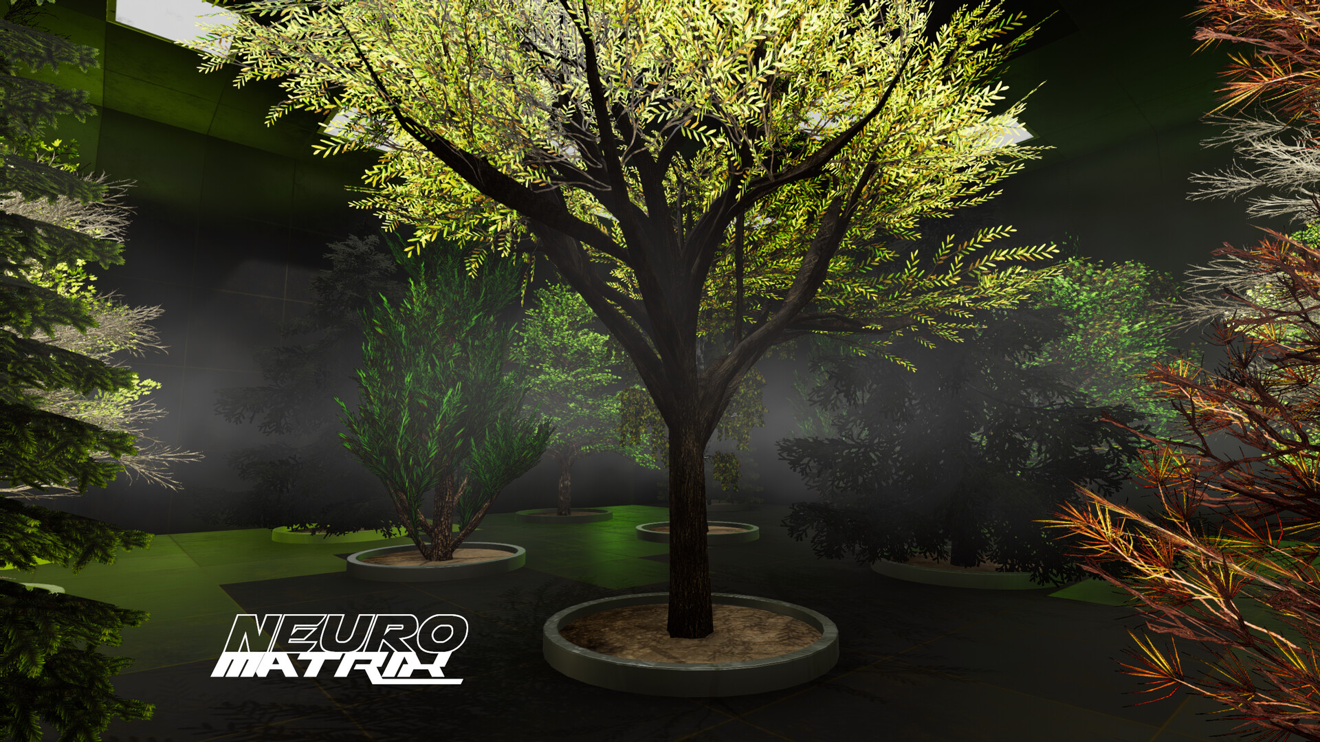 NeuroMatrix screenshot 14