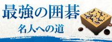 最強の囲碁 ～名人への道～ / Igo Meijin on Steam