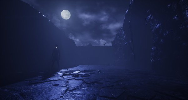 Sleeping Dawn