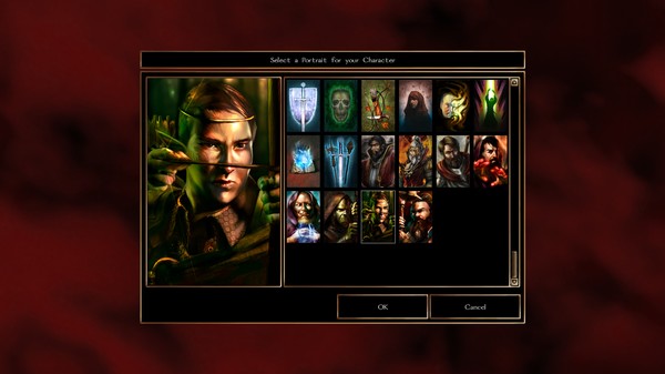 Neverwinter Nights: Heroes of Neverwinter