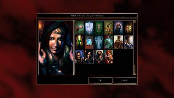 Neverwinter Nights: Heroes of Neverwinter