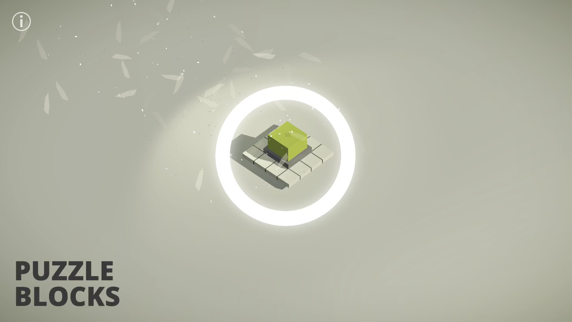 Puzzle Blocks