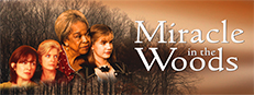 Miracle In The Woods game capsule image