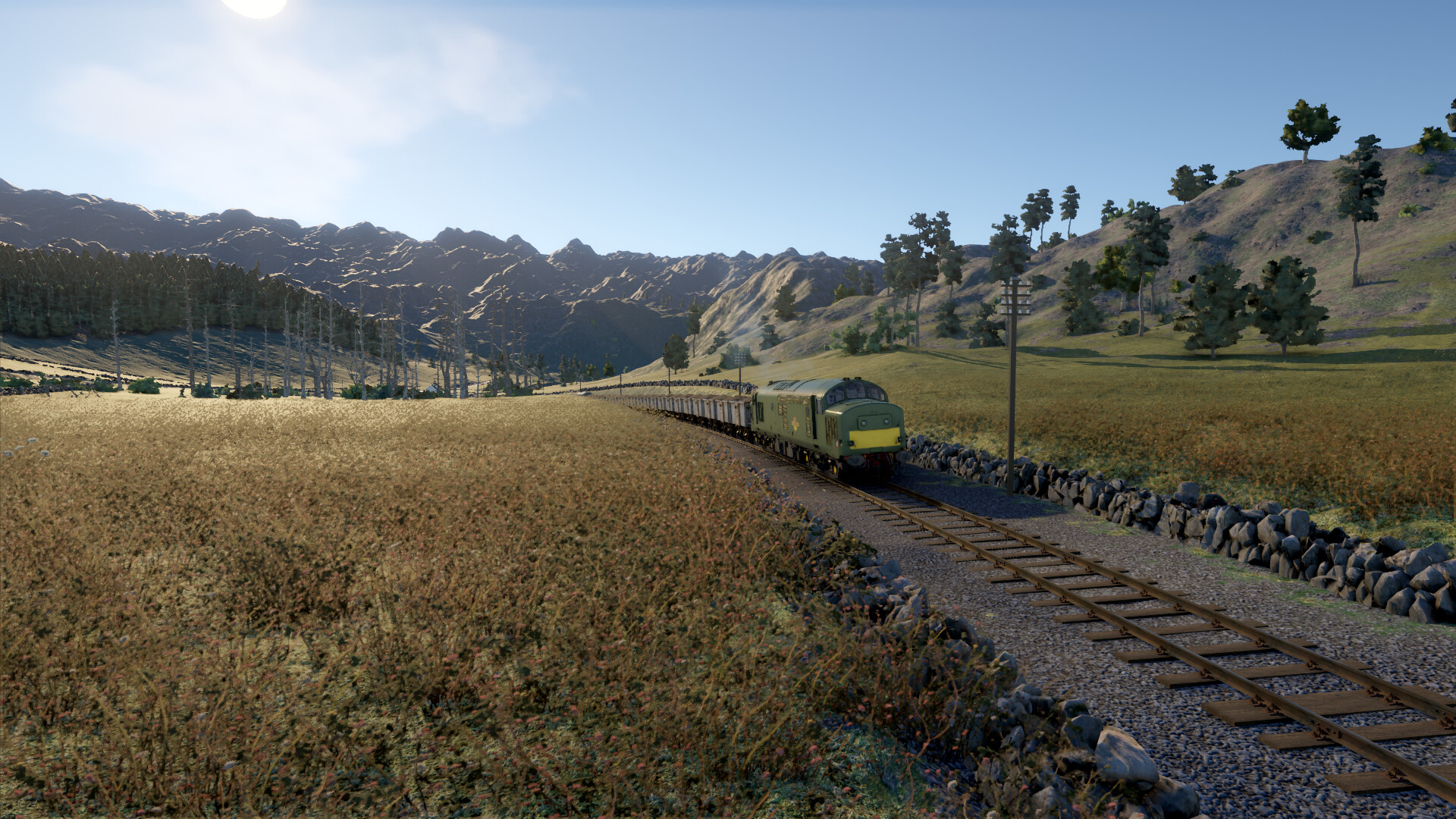 Diesel Railcar Simulator screenshot #10
