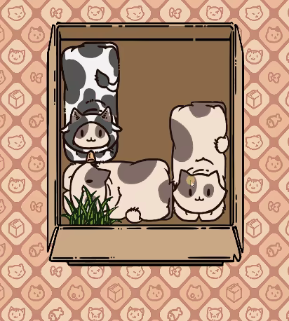 Box Cats Puzzle video 4