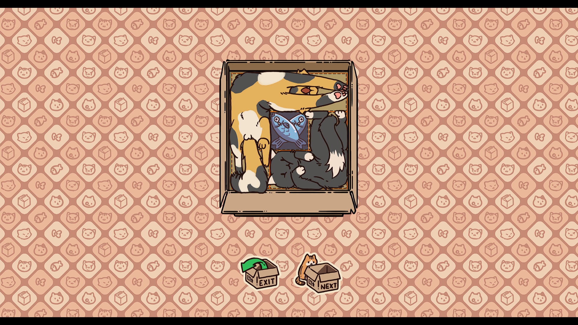 Box Cats Puzzle