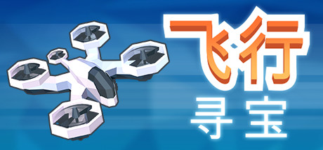 Flying Salvager